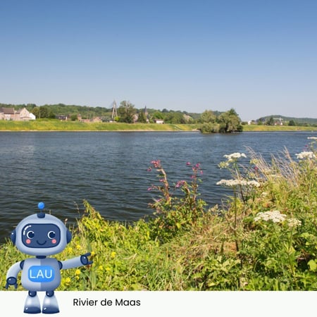 De Maas- De Belangrijke Rivier van Limburg 