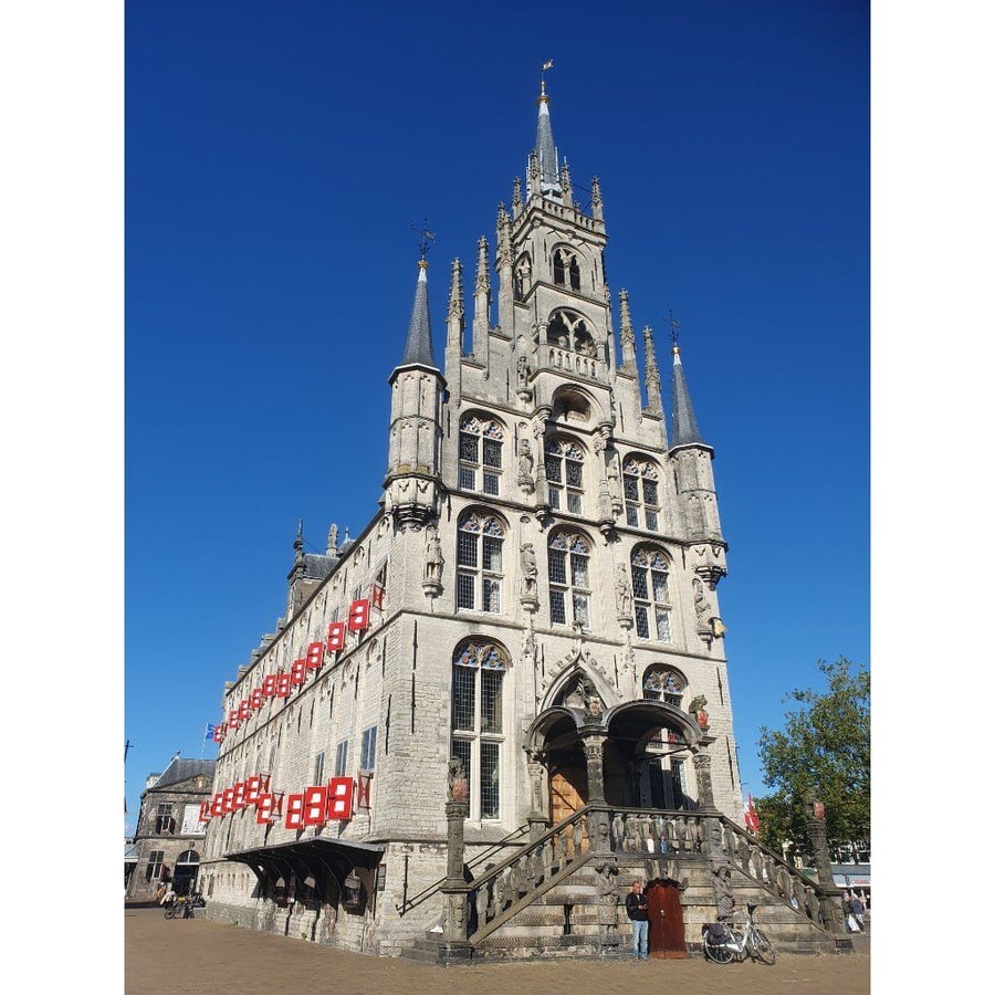 Gouda
