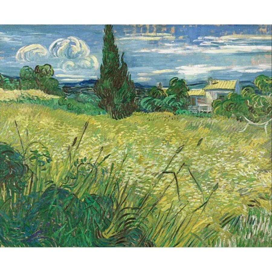Vincent van Gogh: Een Schilder uit Brabant