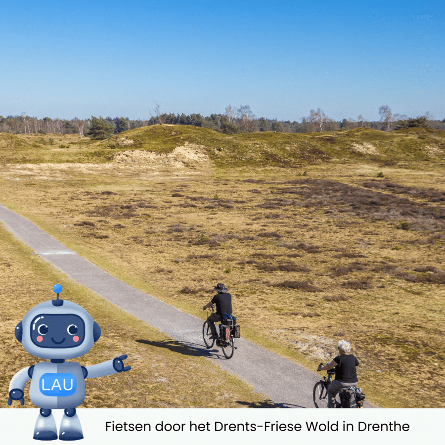 Fietsen door het Drents-Friese Wold